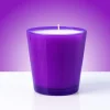 Nature's Garden 6 oz Purple Glass Candle Jar (Case of 12) Best