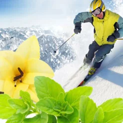 Nature's Garden Alpine Snowdrift Fragrance Oil Best