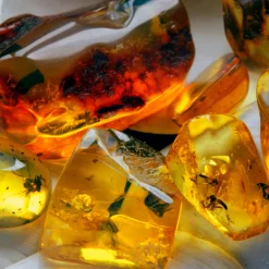 Nature's Garden Amber Fragrance Oil Clearance