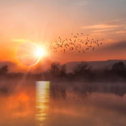 Nature's Garden Autumn Eclipse Fragrance Oil Hot