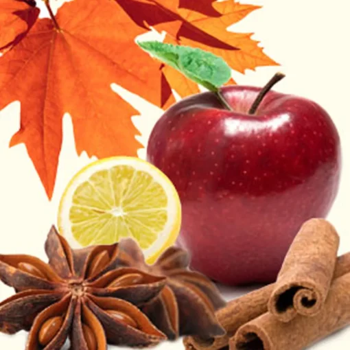 Nature's Garden Autumn Magic Fragrance Oil Outlet
