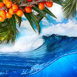 Nature's Garden Awapuhi Seaberry Fragrance Oil