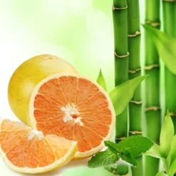 Nature's Garden Bamboo and White Grapefruit Fragrance Oil Outlet
