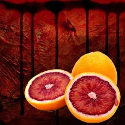 Nature's Garden Blood Orange Fragrance Oil Discount