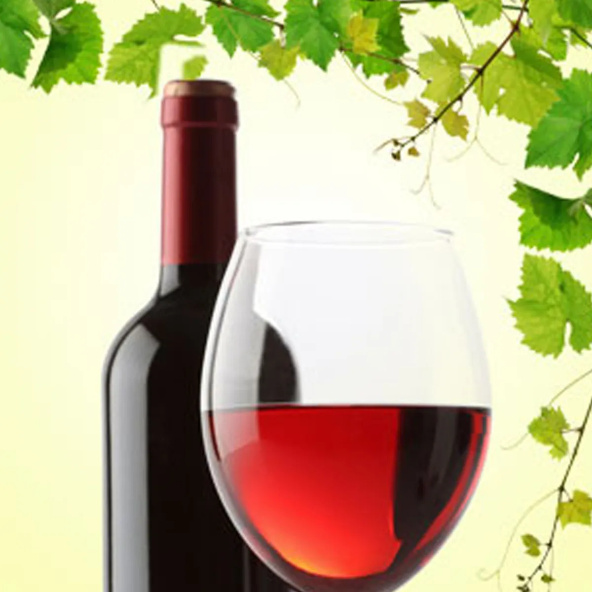 Nature's Garden Cabernet Sauvignon Wine Fragrance Oil Outlet