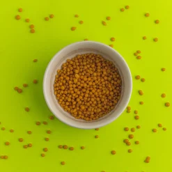 Nature's Garden CANDELILLA Wax