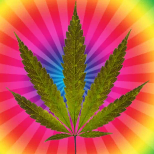 Nature's Garden Cannabis Flower Fragrance Oil Sale