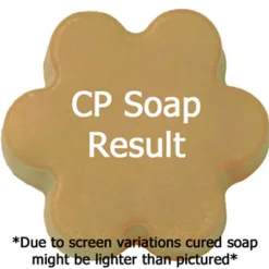 Nature's Garden Cherry Seduction Fragrance Oil New