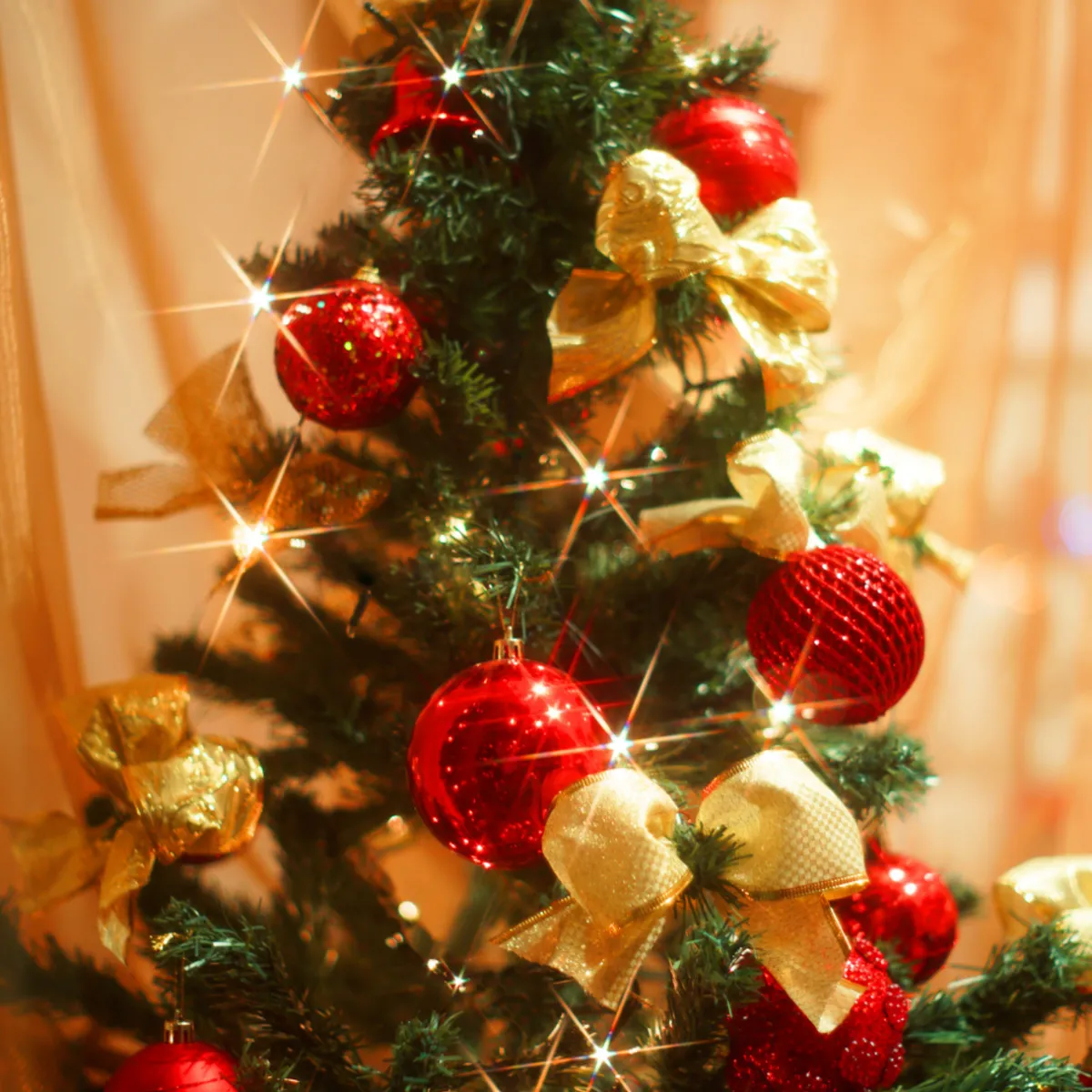 Nature's Garden Christmas Tree Fragrance Oil Discount