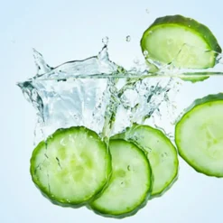 Nature's Garden Cucumber Splash Fragrance Oil New