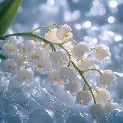 Nature's Garden Diamond Dust Fragrance Oil