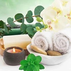 Nature's Garden Eucalyptus & Spearmint Fragrance Oil Outlet