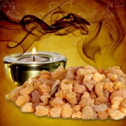 Nature's Garden Frankincense Fragrance Oil Online