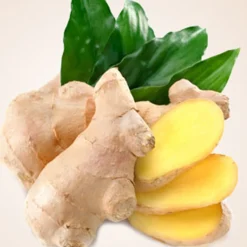 Nature's Garden Fresh Ginger Fragrance Oil Best