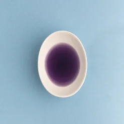 Nature's Garden FUN Deep Purple Liquid Soap Dye (1 oz.) Best