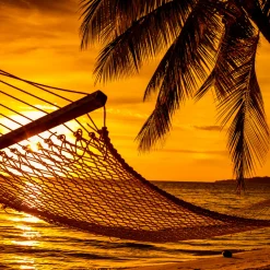 Nature's Garden Golden Tropics Fragrance Oil Best