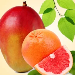 Nature's Garden Grapefruit Mango Fragrance Oil