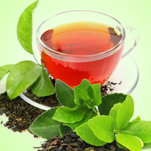 Nature's Garden Green Tea Fragrance Oil Online