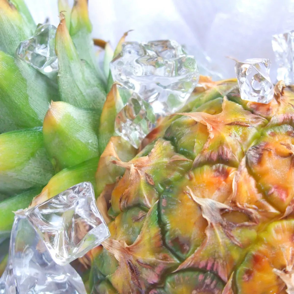 Nature's Garden Iced Pineapple Fragrance Oil Outlet