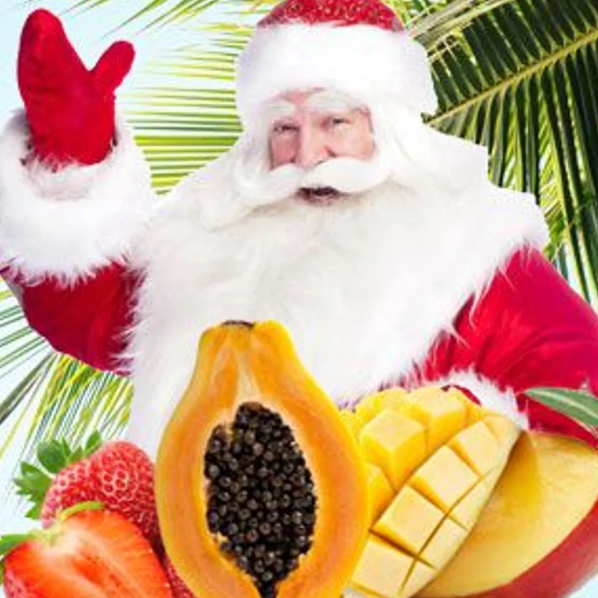 Nature's Garden Island Christmas Fragrance Oil New