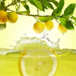 Nature's Garden Juicy Lemon Fragrance Oil Clearance