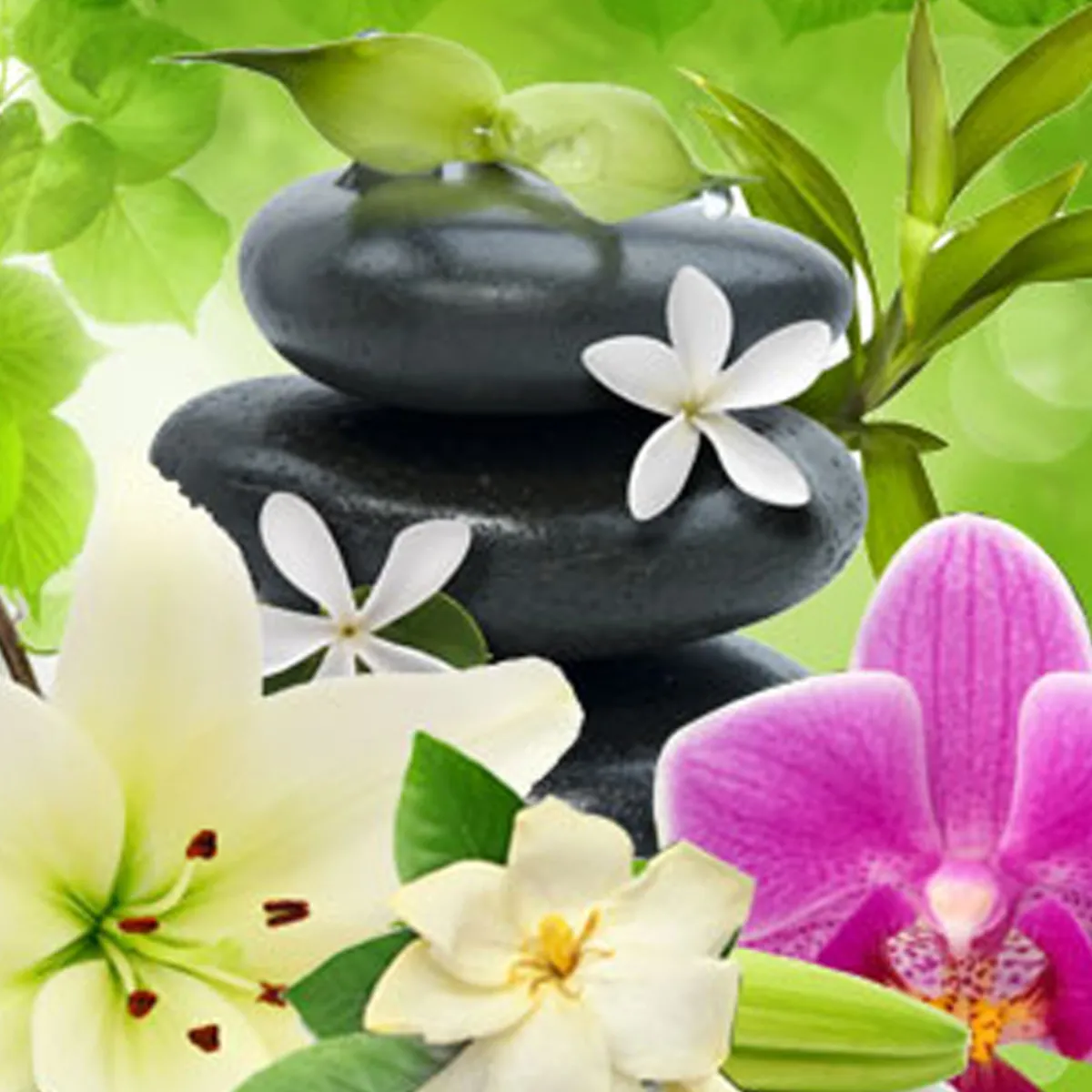 Nature's Garden Kauai Spa Fragrance Oil Discount
