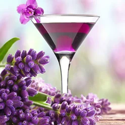 Nature's Garden Lavender Martini Fragrance Oil Outlet