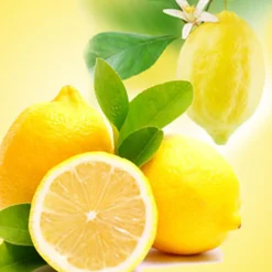 Nature's Garden Lemon Fragrance Oil New