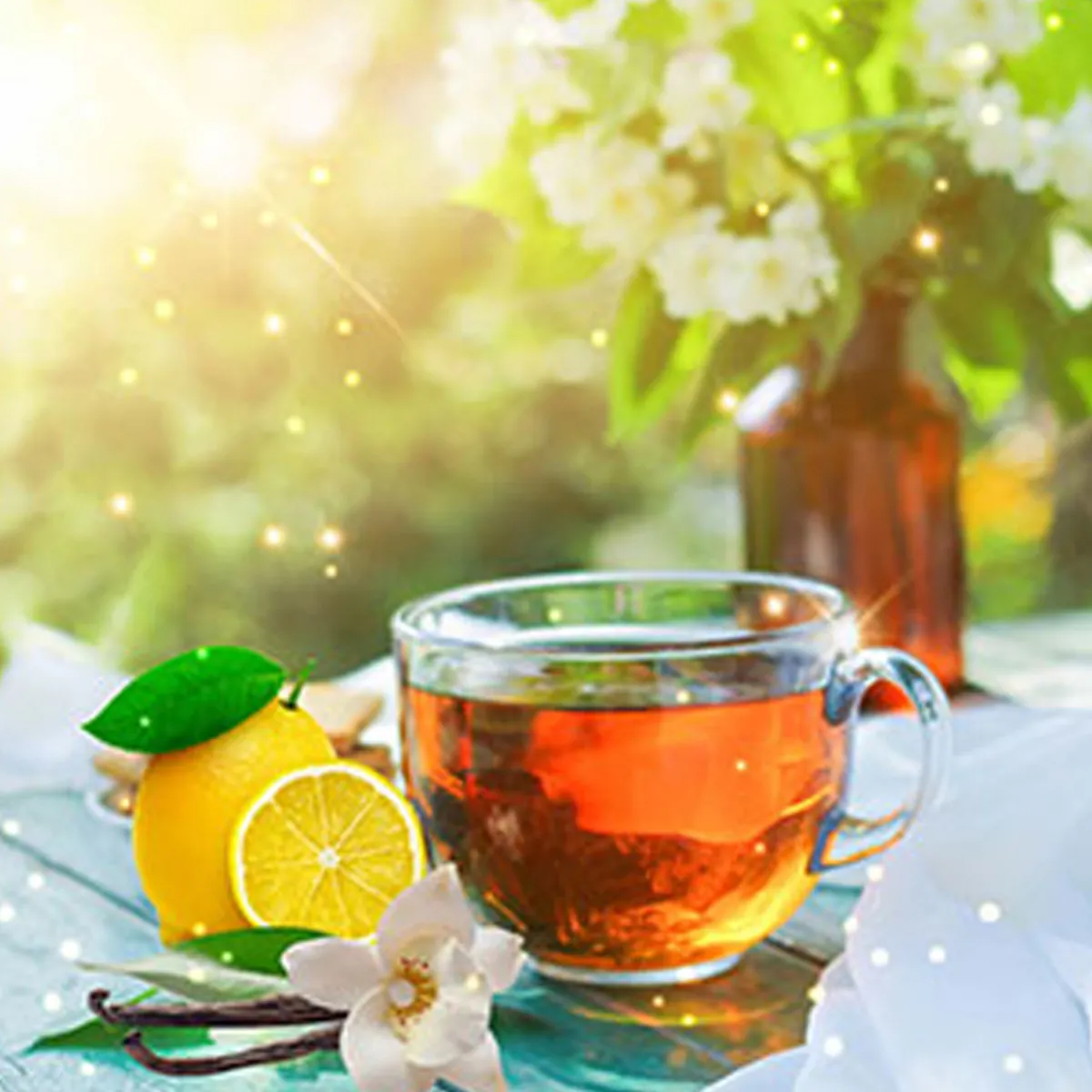 Nature's Garden Lemon Vanilla Shimmer Fragrance Oil Outlet