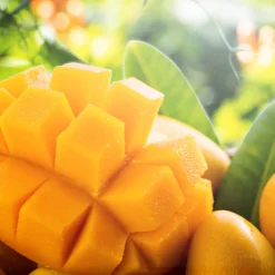 Nature's Garden Mango Fragrance Oil Sale