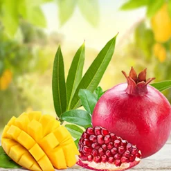 Nature's Garden Mango Pomegranate Fragrance Oil Clearance