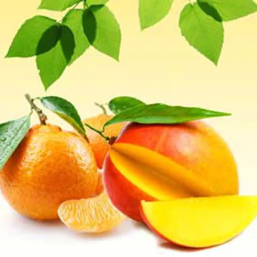 Nature's Garden Mango Tangerine Fragrance Oil New