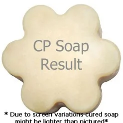 Nature's Garden Midnight Moon Fragrance Oil Discount