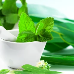 Nature's Garden Mint & Eucalyptus Fragrance Oil Discount