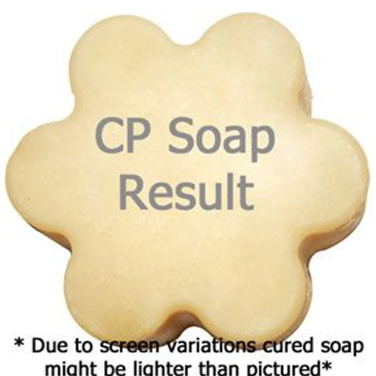 Nature's Garden Mojito Fragrance Oil New