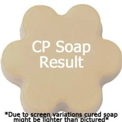 Nature's Garden Nag Champa Fragrance Oil Best