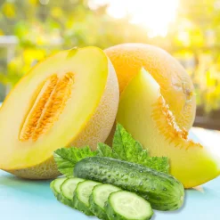 Nature's Garden NG Cucumber Melon Type Fragrance Oil Sale