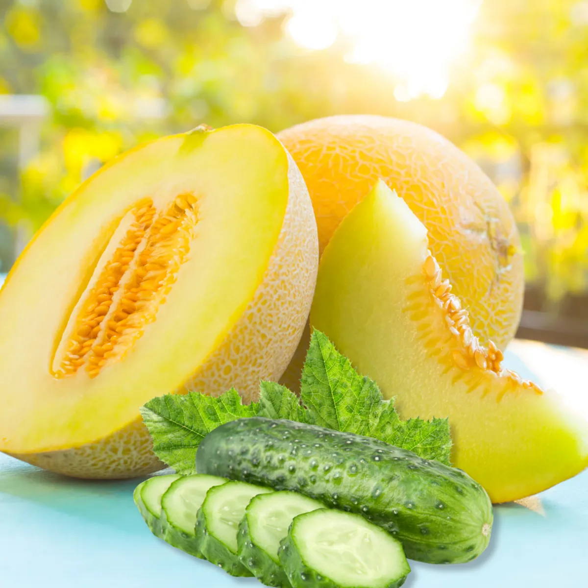 Nature's Garden NG Cucumber Melon Type Fragrance Oil Sale