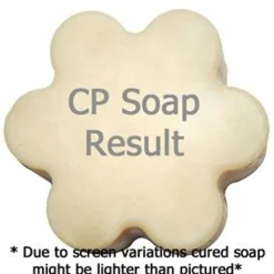 Nature's Garden NG Exotic Coconut Type Fragrance Oil Discount