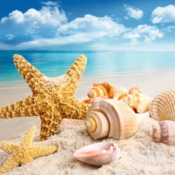 Nature's Garden NG Island Fresh Type Fragrance Oil