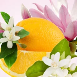 Nature's Garden NG Magnolia & Orange Blossom Type Fragrance Oil Discount