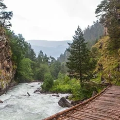 Nature's Garden NG Mahogany Teakwood Type Fragrance Oil