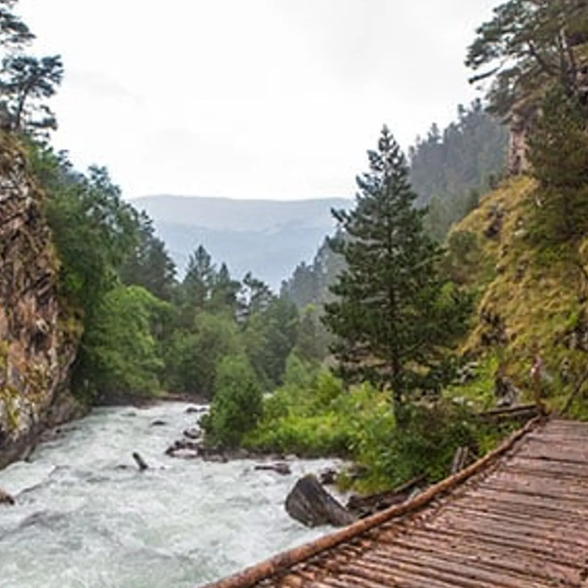 Nature's Garden NG Mahogany Teakwood Type Fragrance Oil