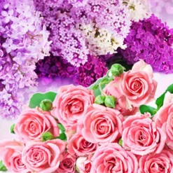 Nature's Garden NG Rose & Violet Type Fragrance Oil Hot