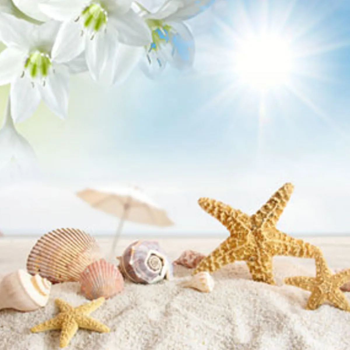 Nature's Garden NG Sun and Sand Type Fragrance Oil Sale