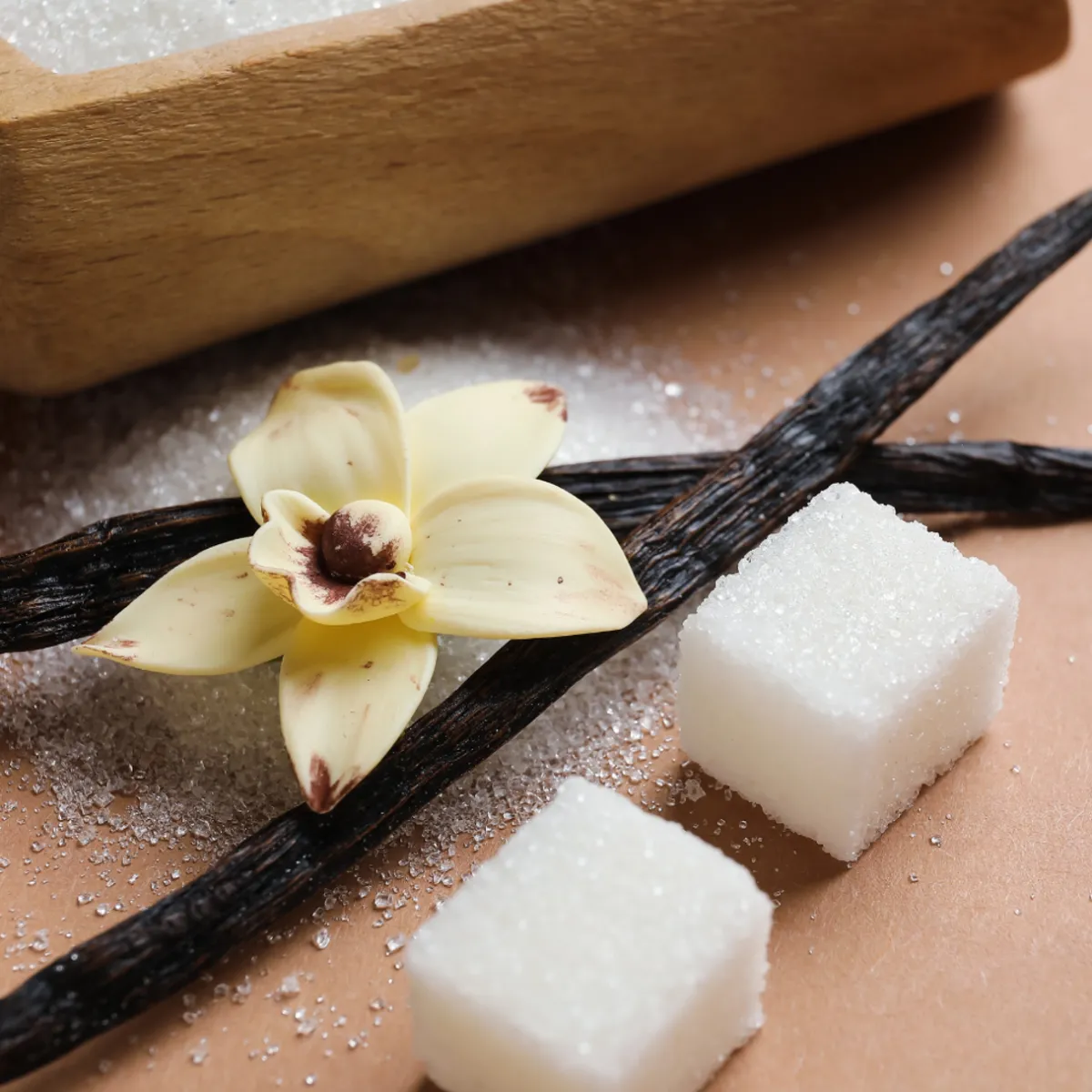 Nature's Garden NG Warm Vanilla & Sugar Type Fragrance Oil Discount