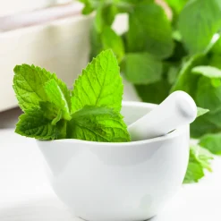 Nature's Garden Peppermint Fragrance Oil Hot