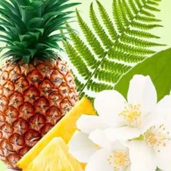 Nature's Garden Pineapple Jasmine Fragrance Oil Sale