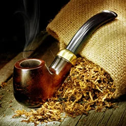 Nature's Garden Pipe Tobacco and Cashmere Fragrance Oil Hot
