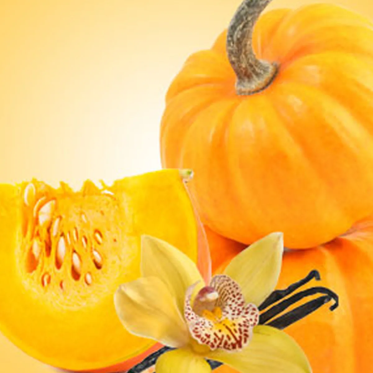 Nature's Garden Pleasingly Pumpkin Fragrance Oil New